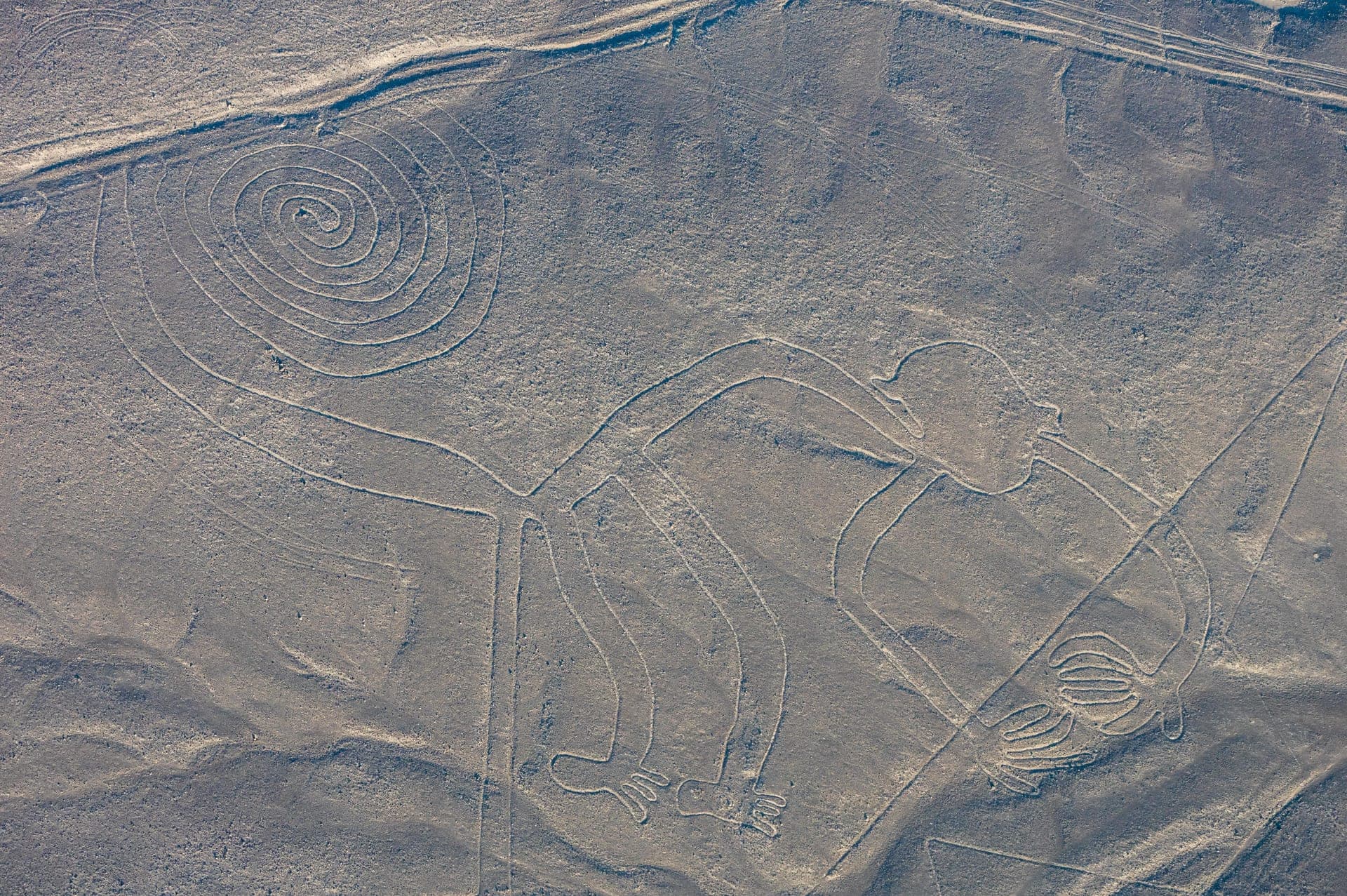 The Nazca Lines