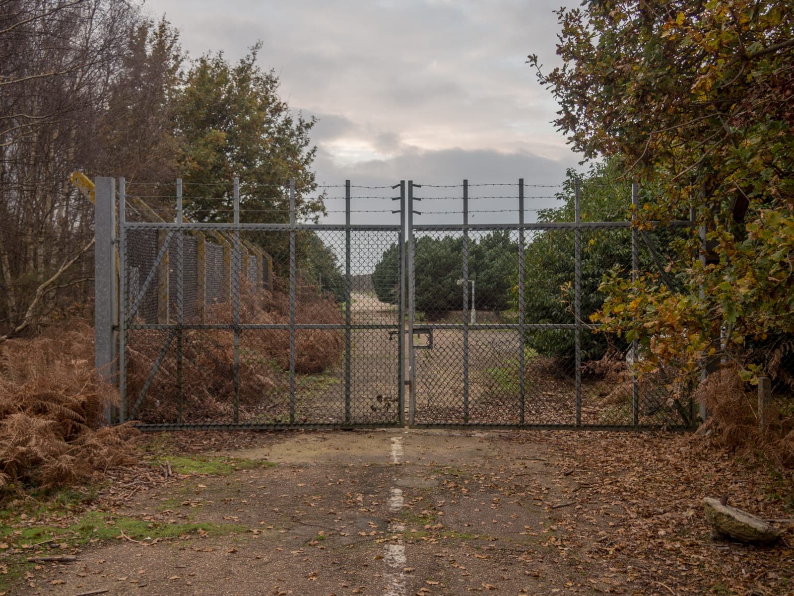 The Rendlesham Forest Incident