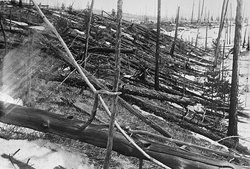 Fallen trees near the Tunguska blast epicenter, photographed by Kulik's 1927 expedition. Even 20 years after the explosion, the trees remained toppled.